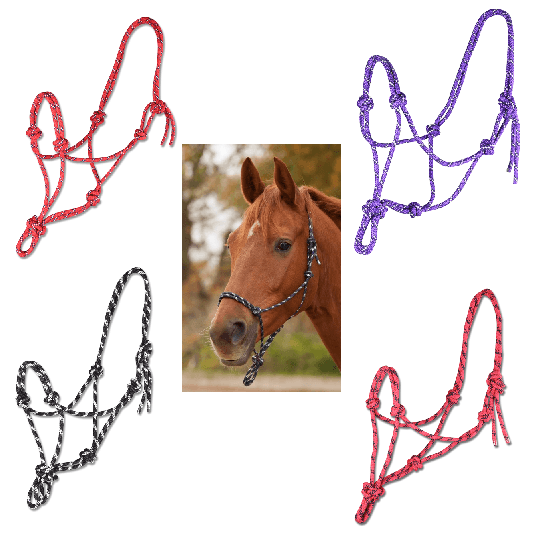 Waldhausen Licol Ethologique - SHOPHORSE